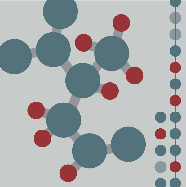 workshop image